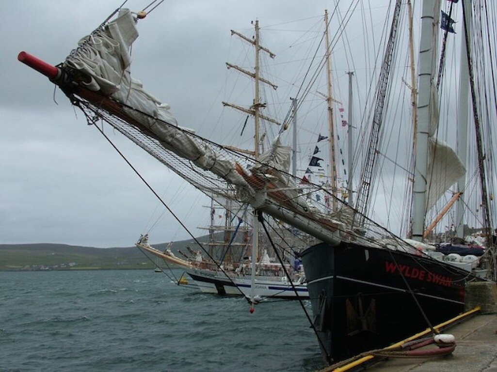 Wylde Swan
