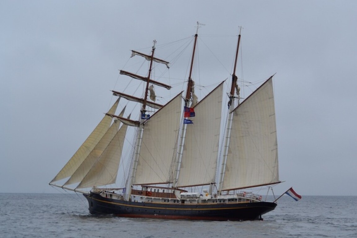 Gulden Leeuw