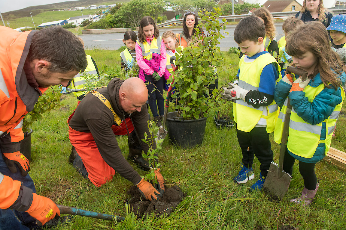 Tree planting at Holmsgarth Brae with Bell's Brae School, Shetland Amenity Trust and Viking Energy Windfarm Project.