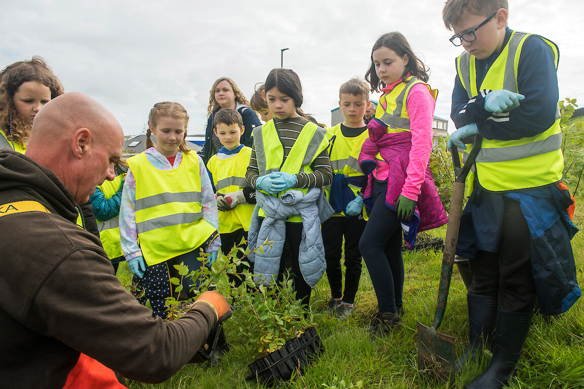 Tree planting at Holmsgarth Brae with Bell's Brae School, Shetland Amenity Trust and Viking Energy Windfarm Project.