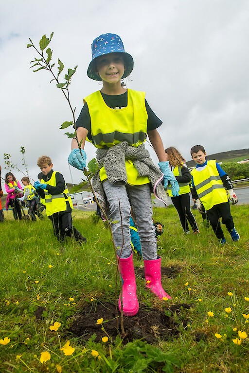 Tree planting at Holmsgarth Brae with Bell's Brae School, Shetland Amenity Trust and Viking Energy Windfarm Project.