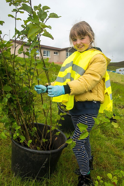 Tree planting at Holmsgarth Brae with Bell's Brae School, Shetland Amenity Trust and Viking Energy Windfarm Project.