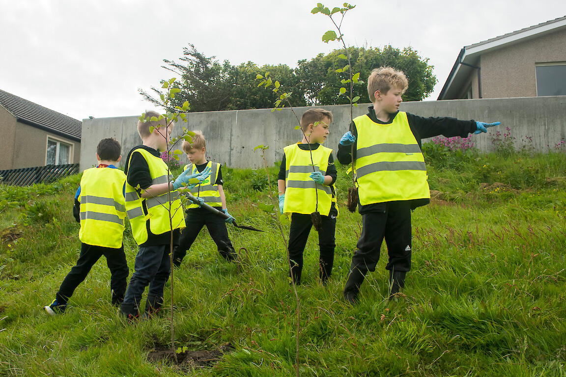 Tree planting at Holmsgarth Brae with Bell's Brae School, Shetland Amenity Trust and Viking Energy Windfarm Project.