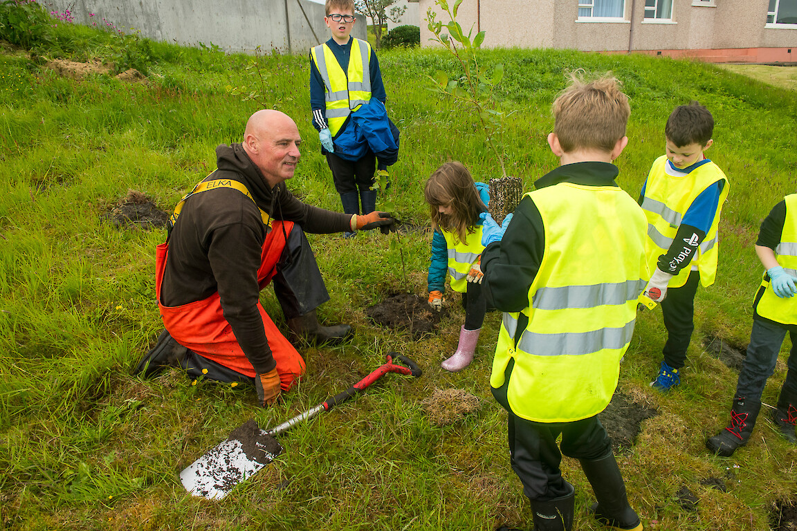 Tree planting at Holmsgarth Brae with Bell's Brae School, Shetland Amenity Trust and Viking Energy Windfarm Project.