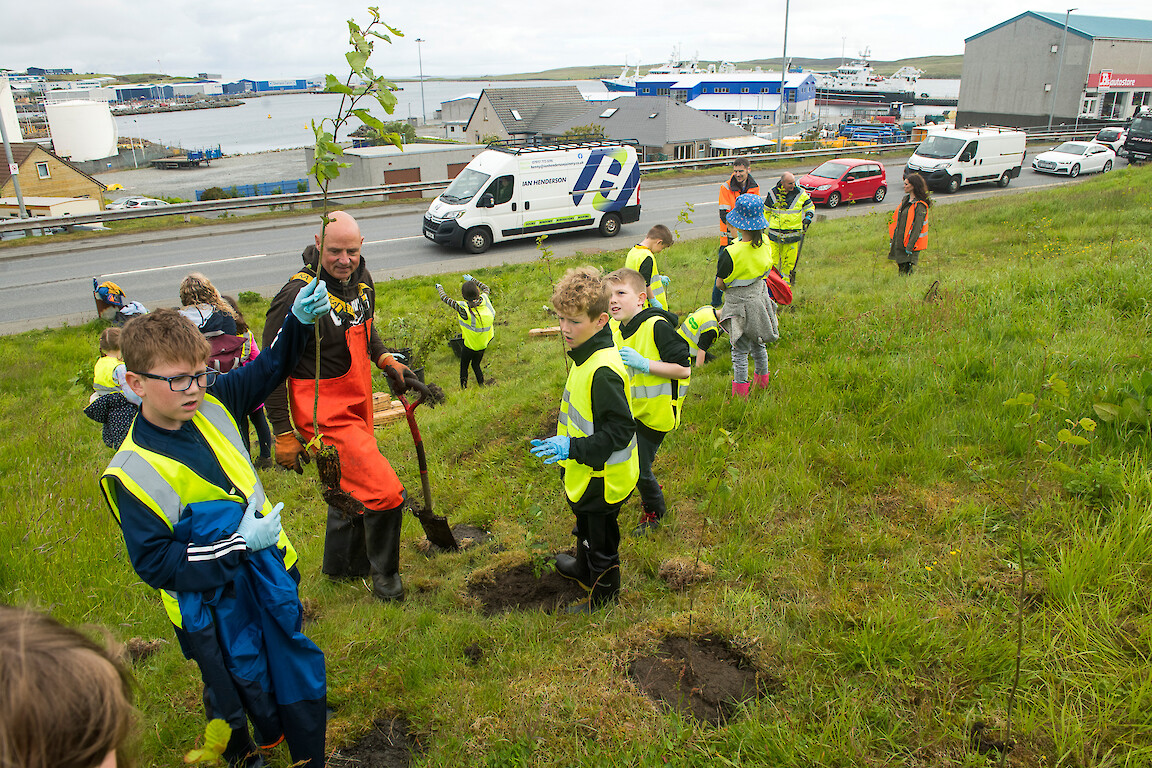 Tree planting at Holmsgarth Brae with Bell's Brae School, Shetland Amenity Trust and Viking Energy Windfarm Project.