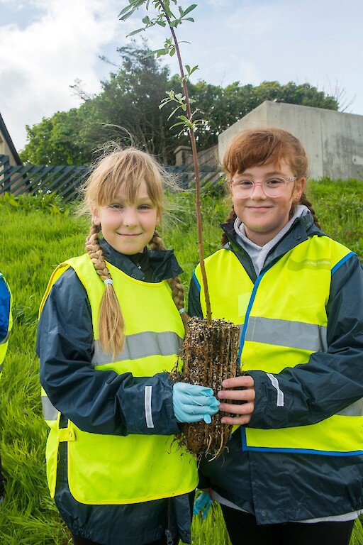 Tree planting at Holmsgarth Brae with Bell's Brae School, Shetland Amenity Trust and Viking Energy Windfarm Project.