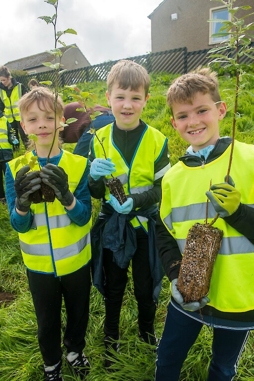 Tree planting at Holmsgarth Brae with Bell's Brae School, Shetland Amenity Trust and Viking Energy Windfarm Project.