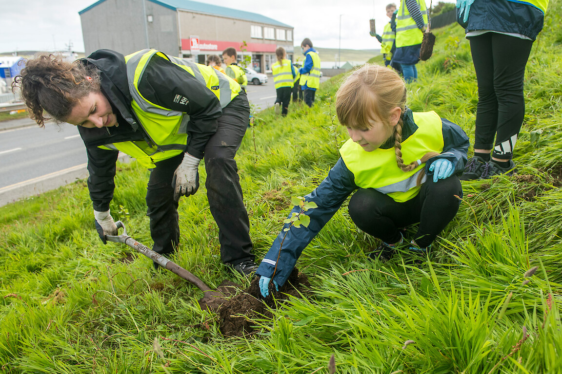 Tree planting at Holmsgarth Brae with Bell's Brae School, Shetland Amenity Trust and Viking Energy Windfarm Project.
