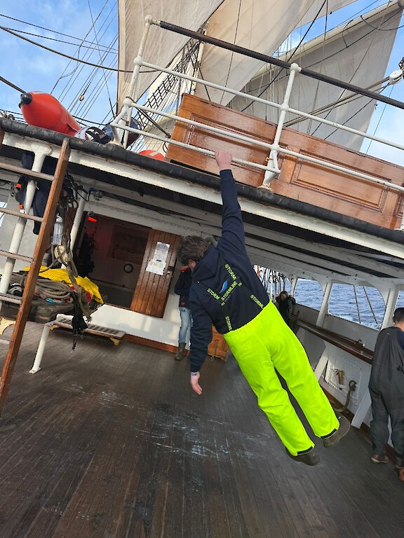 Archie hangining around on Sorlandet!