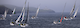 40th Bergen-Shetland Race Leads Busy Summer of Sailing for Lerwick Harbour
